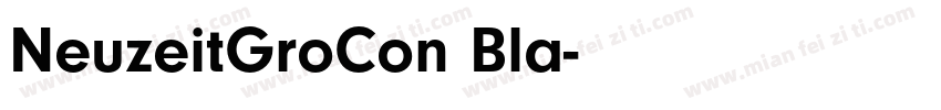 NeuzeitGroCon Bla字体转换